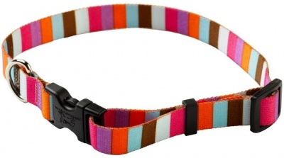 Yellow Dog Design Multi-Stripe Adjustable Collar L (45-70cm) RRP £10.99 CLEARANCE XL £5.99